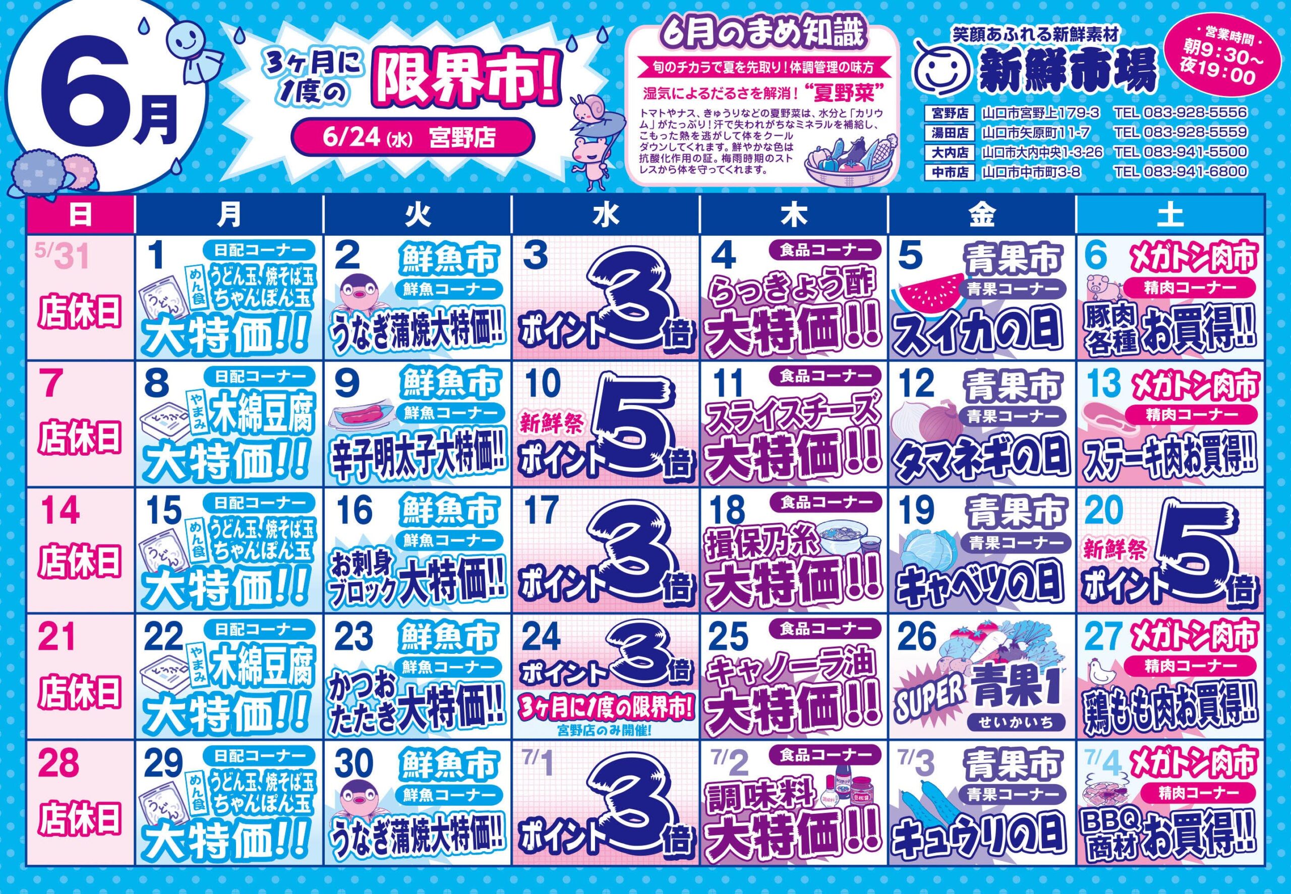 新鮮 市場 チラシ